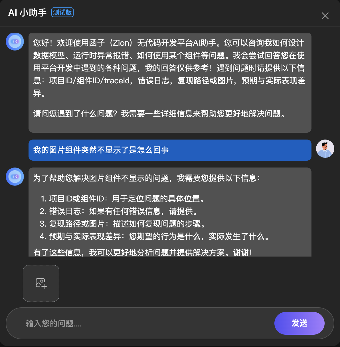 问题输入